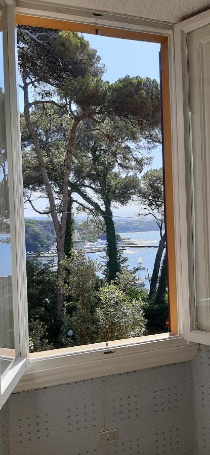 Villa Violetta Castiglioncello Εξωτερικό φωτογραφία