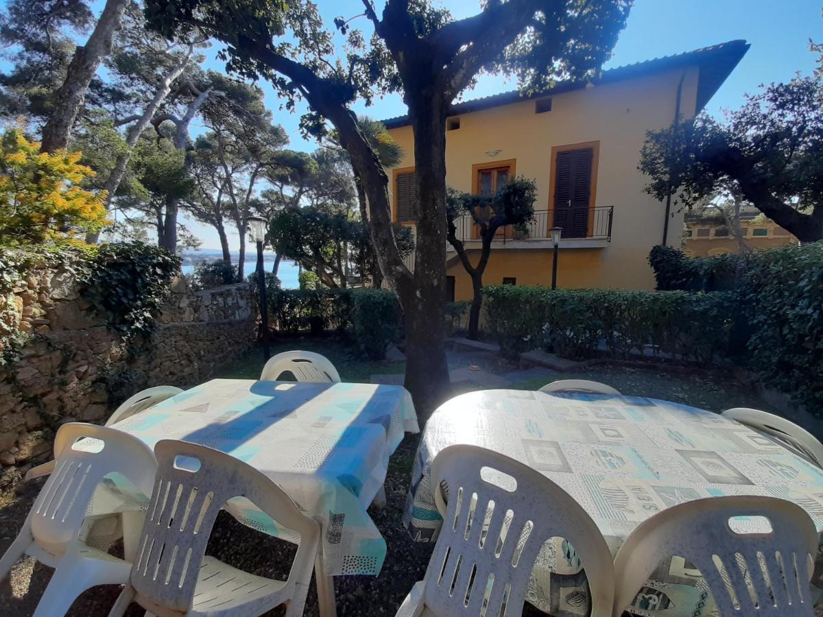 Villa Violetta Castiglioncello Εξωτερικό φωτογραφία