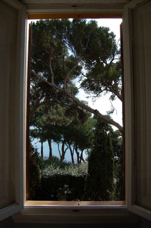 Villa Violetta Castiglioncello Εξωτερικό φωτογραφία